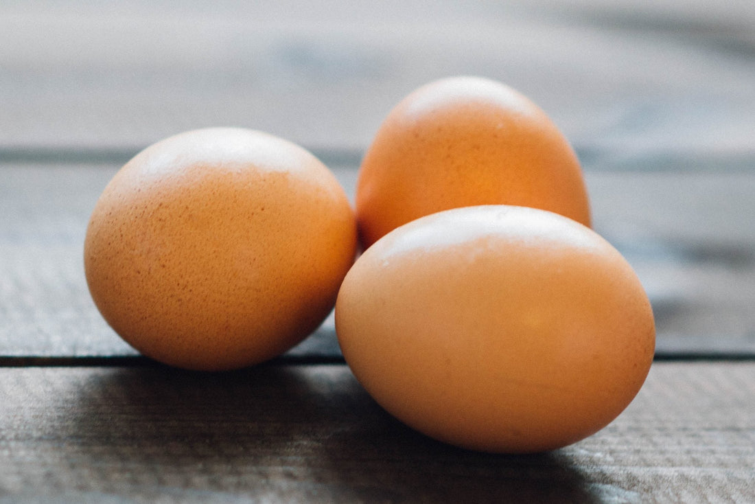 Egg and vegetable brunch cups